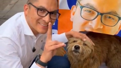 Diputado Videla cierra su campaña con gesto solidario: Dona materiales a refugio de perros en Calama y entrega casitas en Antofagasta