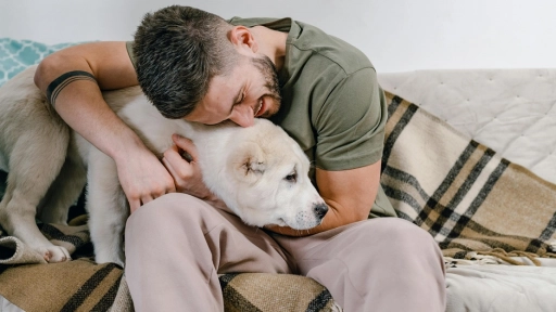 Día del Soltero: Formas de celebrar junto a tus animales