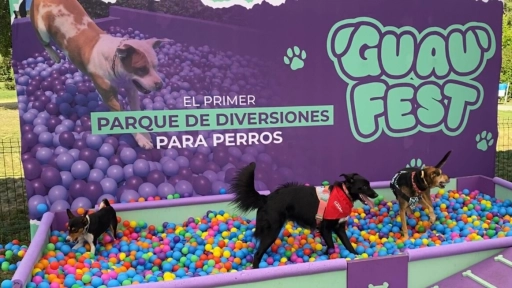 GuauFest: Comenzó la cuenta regresiva para el primer festival perruno del país