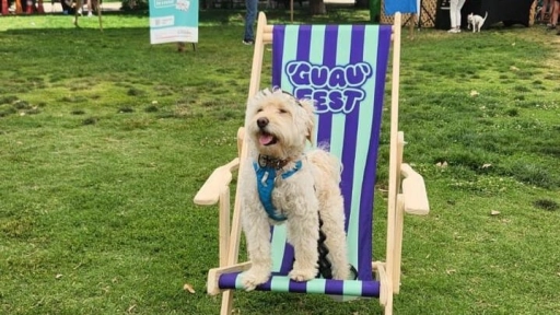 Reprograman GuauFest por pronóstico de tormentas eléctricas anunciadas para este fin de semana