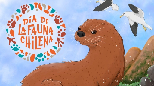 Más de 10 mil personas celebrarán el Día de la Fauna 2025 como una forma de destacar el cuidado de la naturaleza de Chile