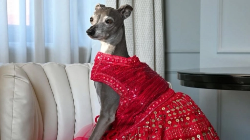 Fashion influencer: Tika The Iggy fallece a los 14 años