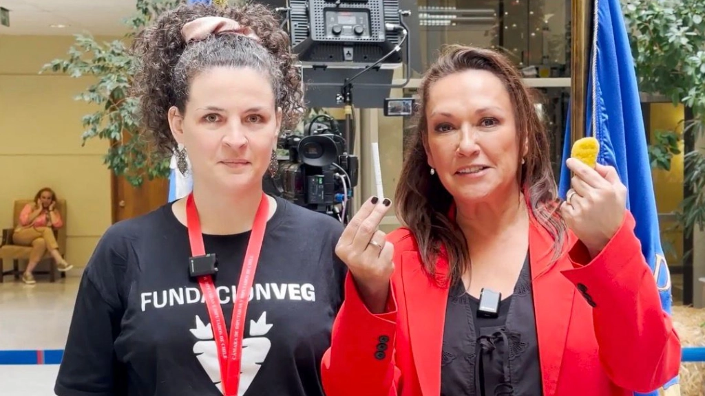 Prohibición publicidad de carnes procesadas, Fundación Veg