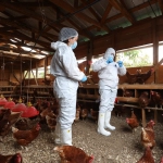 SAG refuerza vigilancia y prevención ante elescenario internacional de influenza aviar