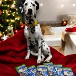 Navidad: Cuidado con las intoxicaciones en perros y gatos