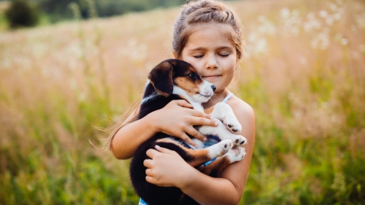 Empatía: La educación que transforma corazones y cuida vidas