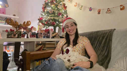 Animales de compañía: La primera Navidad sin ti