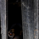 Fuegos artificiales ¡Manual para prevenir y no lamentar!
