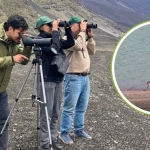 Parque Laguna del Laja: SAG y CONAF instalan cámaras trampa ante avistamiento de huemules