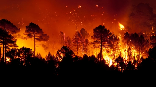 Desplazamiento del humo obliga a extremar cuidados más allá de la zona crítica