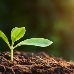 Columna: Territorios heridos