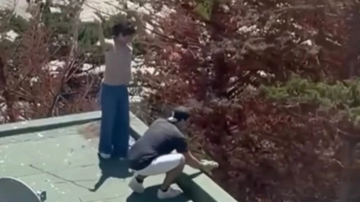 Municipalidad de Puchuncaví hace un llamado a denunciar el maltrato animal y a respetar la fauna 