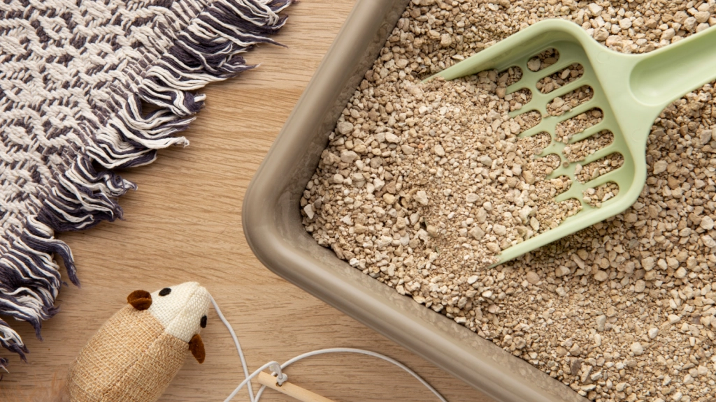 Arenero gato, Freepik