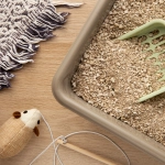 Gatos: Cómo mantener el arenero limpio y fresco en verano