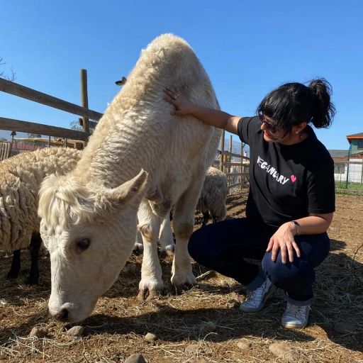 Francisca Valdebenito Fica / Veganuary