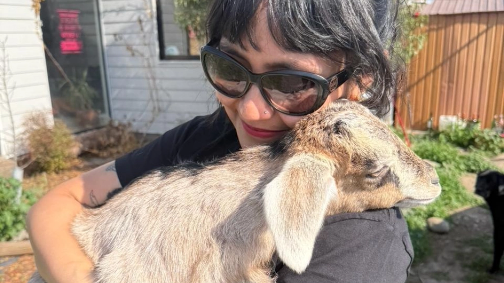 Francisca Valdebenito Fica, Veganuary