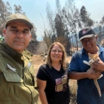 Incendios: Gatito se reencuentra con su familia
