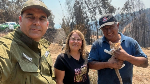 Incendios: Gatito se reencuentra con su familia