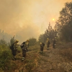 CONAF despliega importante contingente humano en Ñuble, Biobío y La Araucanía