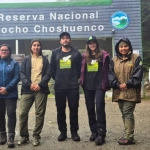 Encuentran por primera vez a la ranita de Darwin en la Reserva Nacional Mocho Choshuenco