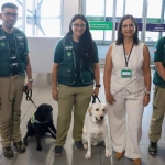 Aeropuerto de Santiago: SAG registra casi 10 mil animales de compañía arribados