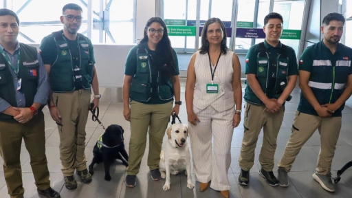 Aeropuerto de Santiago: SAG registra casi 10 mil animales de compañía arribados