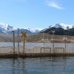 Condenan a empresa salmonera por afectar el fondo marino en Aysén