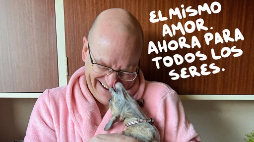 Organizaciones por los derechos de los animales y Plant-Based en Latinoamérica se unieron para este Veganuary 