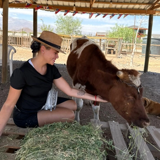 Eli Albasetti / Santuario Empatía