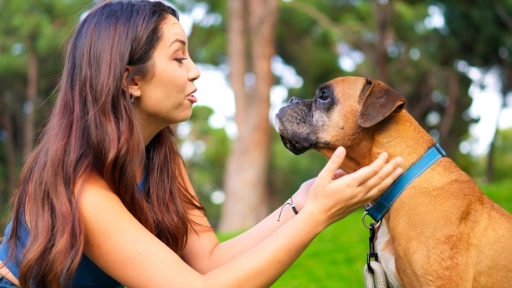 Hablarle a los animales como si fueran una persona: La conducta emocional que crece en Chile y revela un nuevo tipo de apego