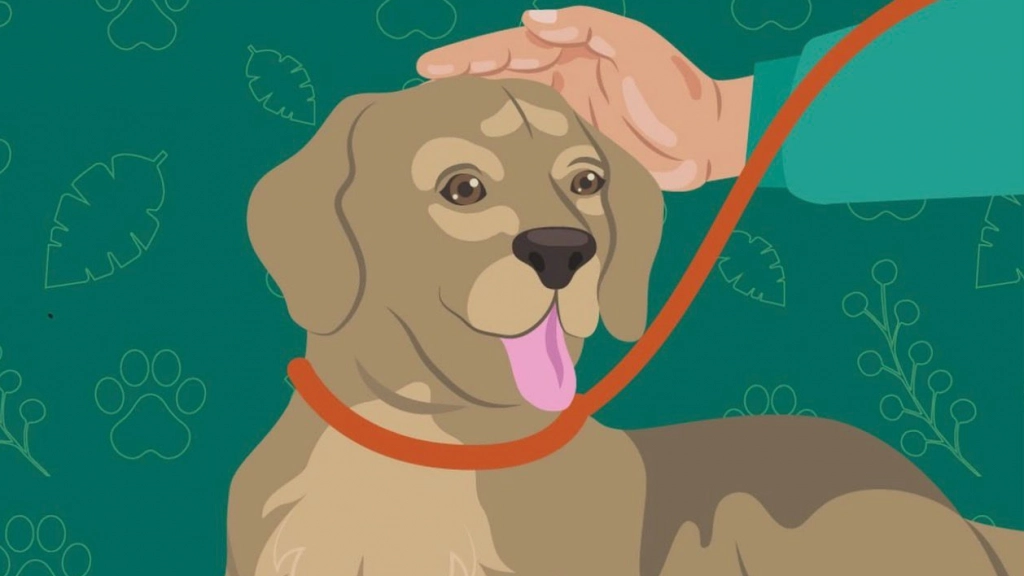 Jornada de adopción, Parque Metropolitano