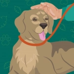 Parque Metropolitano realizará jornada de adopción de perritos