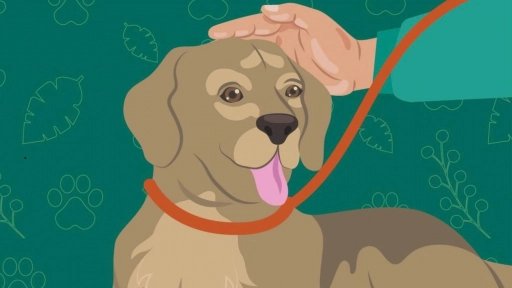 Parque Metropolitano realizará jornada de adopción de perritos