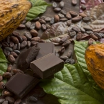 Consumo consciente y chocolate negro lideran el nuevo ciclo del negocio global