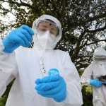 SAG confirma un caso de influenza aviar H5N1 en aves de traspatio de la Región Metropolitana