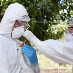 SAG confirma caso de influenza aviar H5N1 en aves silvestres en la región de Valparaíso