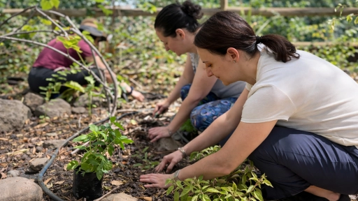 Parque Cordillera ofrecerá actividades al aire libre exclusivas para mujeres