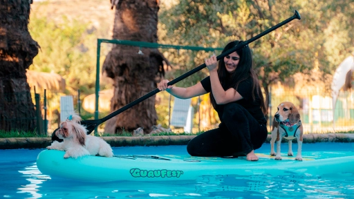 Avísale a tu perro: Vuelve GuauFest, el primer parque de diversiones 100% pensado para ellos 