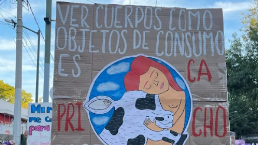 8M: El feminismo antiespecista amplía su mirada hacia todos los animales y cuestiona las jerarquías de opresión