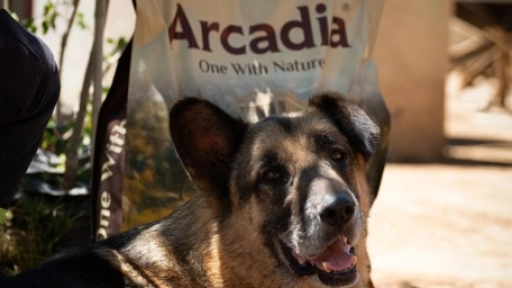 Arcadia: Nutrición de excelencia desde Viña del Mar y un compromiso real con la comunidad