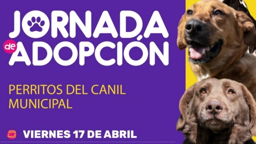 Maipú realizará jornada de adopción de los perritos del canil municipal