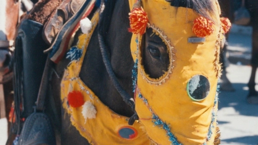 Cuasimodo a otro modo: Proponen mejorar la tradicional fiesta religiosa en Colina con bienestar animal e incorporar nuevas formas de celebración