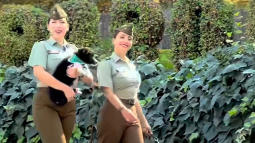 Carabineros realizará Caminata familiar canina en el Parque Metropolitano