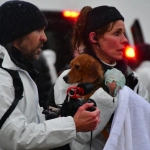 ¿Es un delito? El rescate de animales usados en experimentación como deber de auxilio