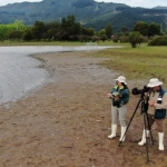 SAG confirma primer caso de influenza aviar altamente patógena en ave silvestre en la Región de Aysén