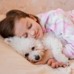 Perros y gatos: Niños que duermen con ellos tienen un sueño de mejor calidad