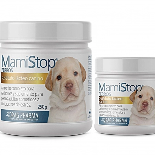 MamiStop / Difusión