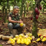 Comercio justo gana espacio en la industria alimentaria y el cacao emerge como caso emblemático
