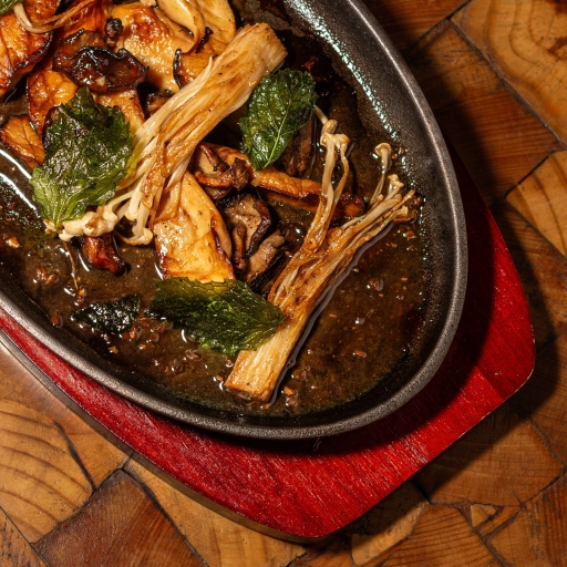 Doejang Fungus / Katako Vegan