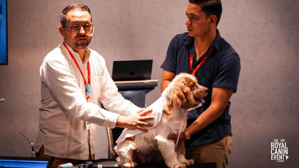 Royal Canin Event, Difusión